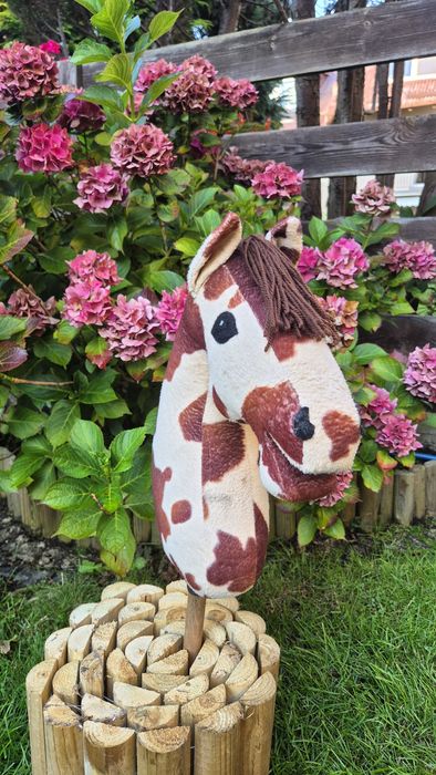 Hobby horse A3 (z paszportem)