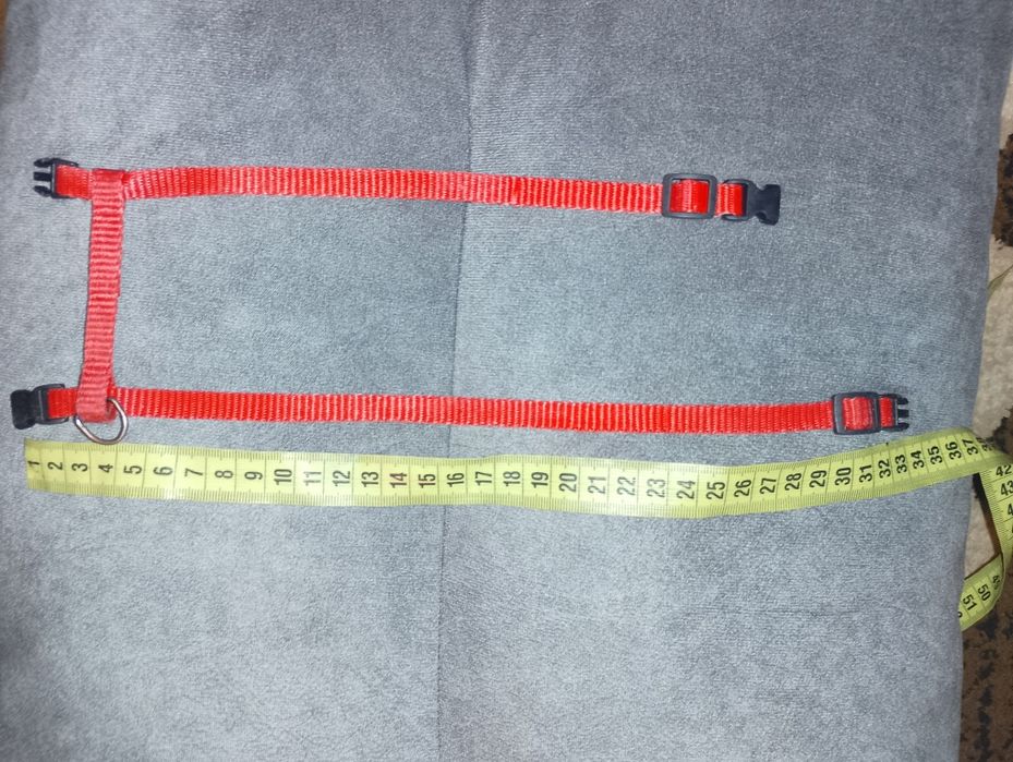 Шлейка для маленьких собак