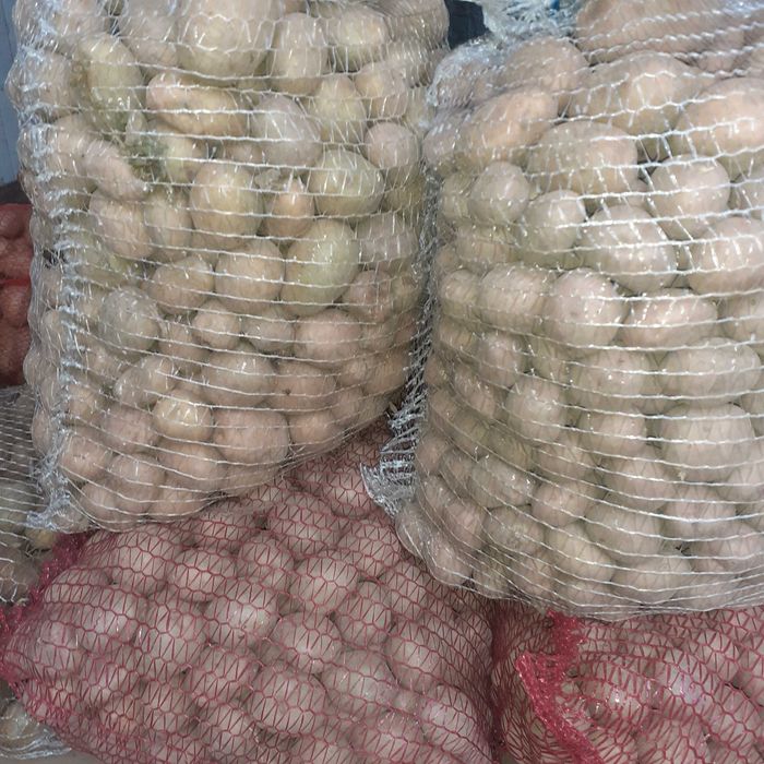 Ziemniaki paszowe drobne