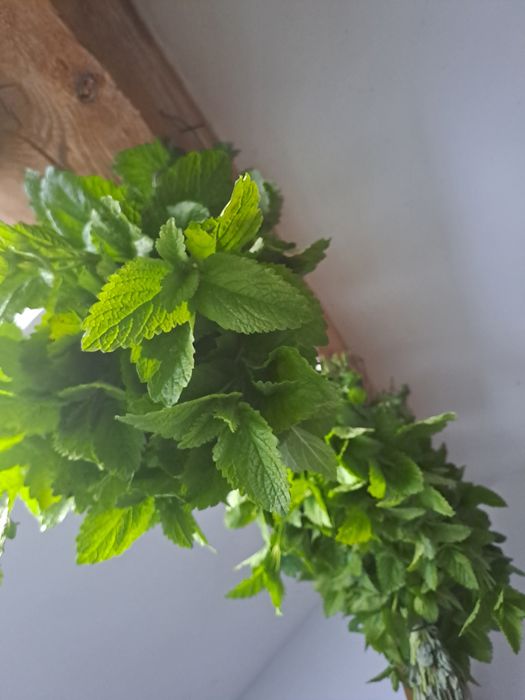 Pokrzywa z melisa susz mix 40g