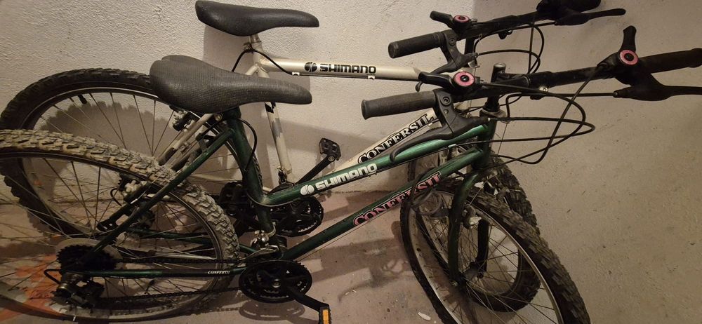 Bicicletas adulto