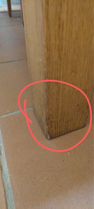 Mesa de madeira maciça