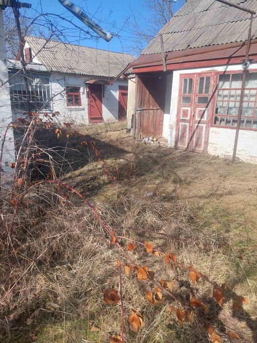 Продам будинок ,Уманський район, село Ладижинка.