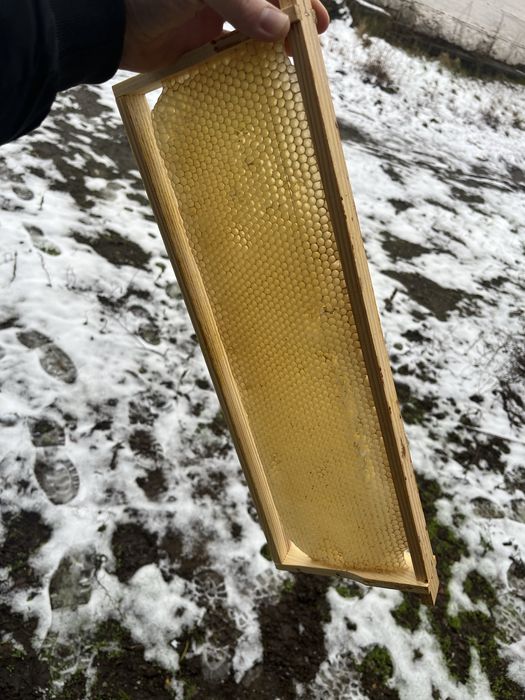 Продам суш, рамки з вощиною, 145, 230, рута пасіка