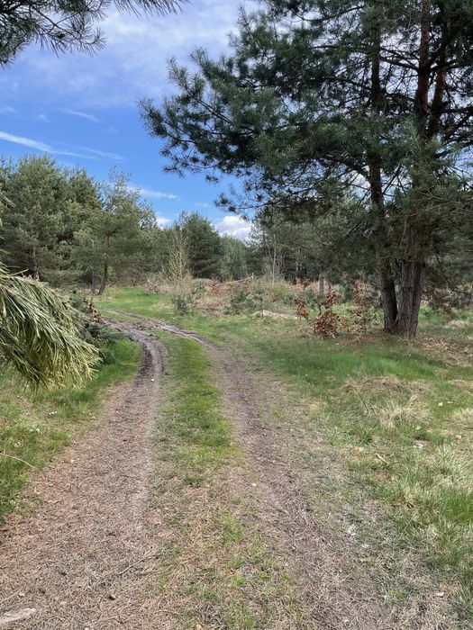 Терміново! Продаж землі під будівництво