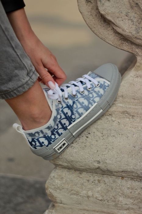 Dior Low Grey/Blue