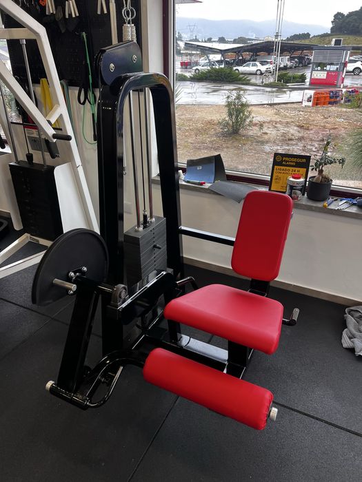 Precor icarian leg extension