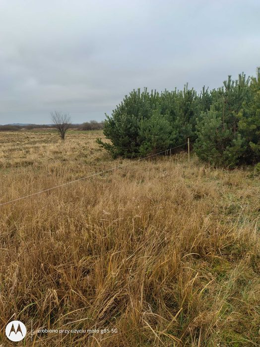Duża działka pod domek holenderski 1010m morze - Rewal 6km - View 5