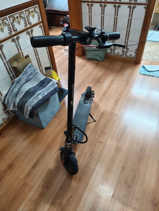 Trotinetes elétrica