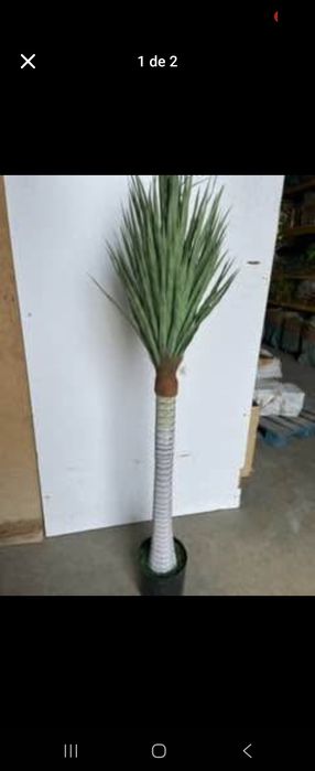 Palmeiras de excelencia artificiais 170 cm para decorações