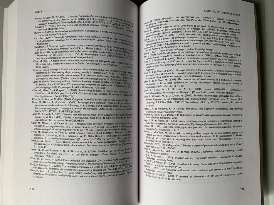 Social Interactions in Multicultural Settings