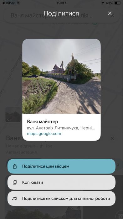 Звичайні кози, козенята