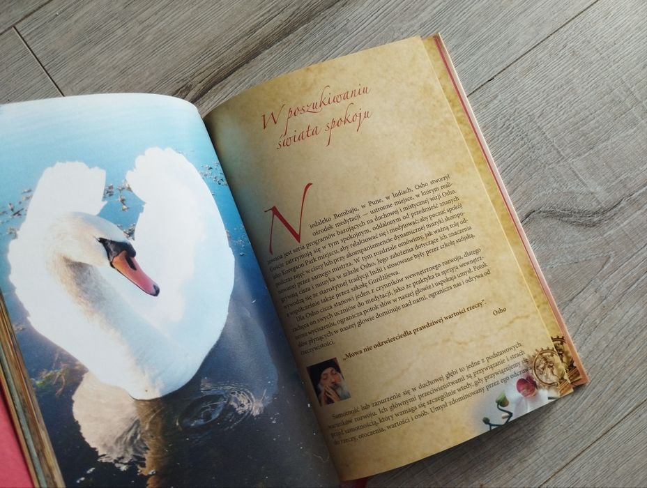 Więcej niż Osho - Jorge Blaschke