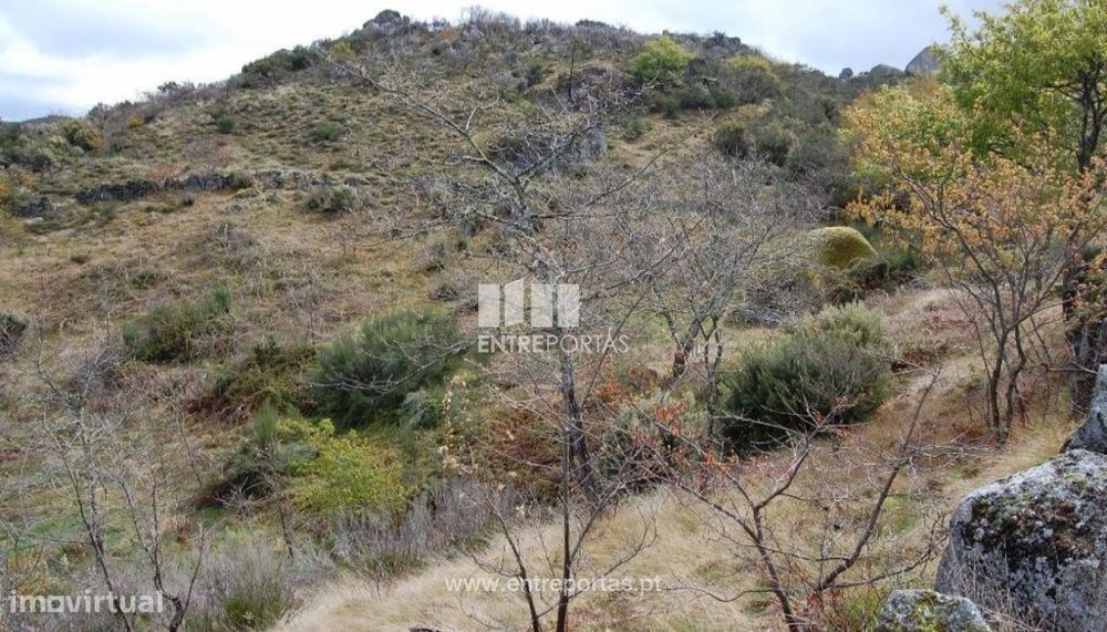Venda Terreno, Carneiro, Amarante