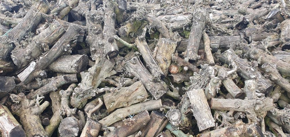 Lenha de macieira para venda.