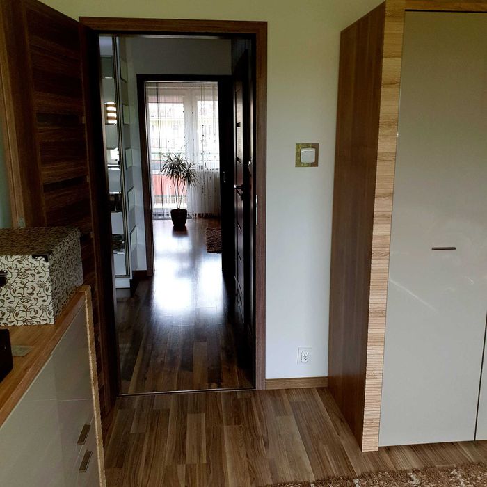 Mieszkanie 50m do wynajęcia ul.Ratajczaka - Widok 5