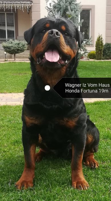 Приглашаем на вязку.