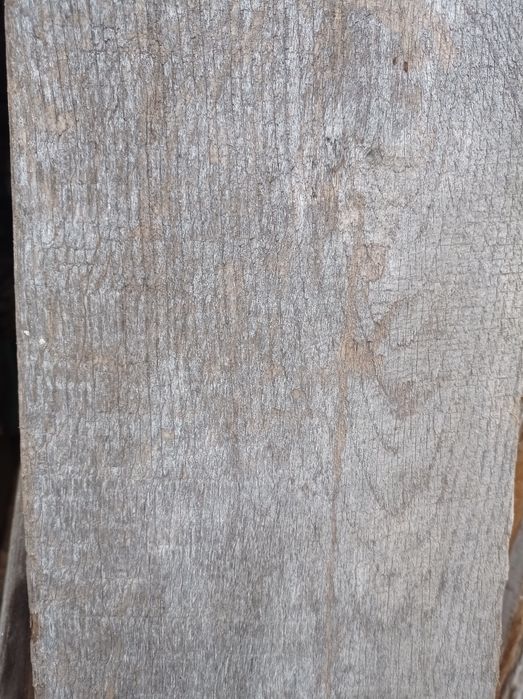 Продам дошку дубову обрізну