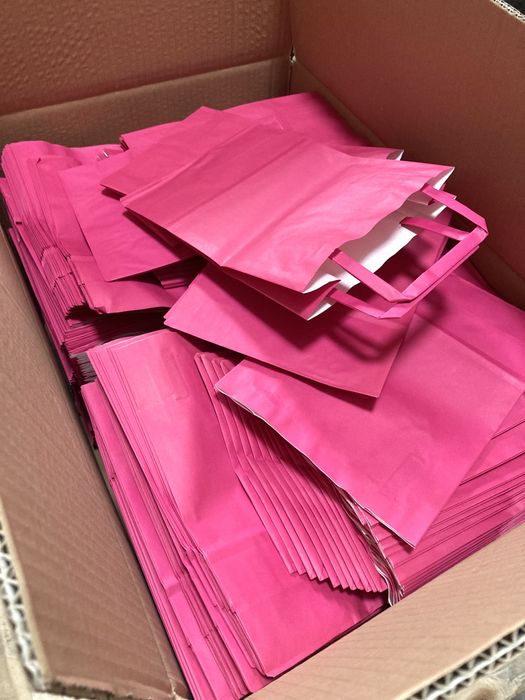 Sacos de Papel com Asa Plana