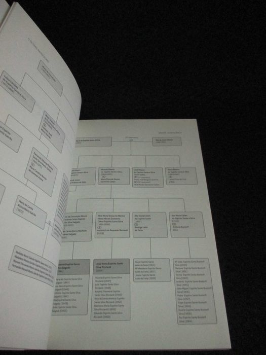 Livro O Último Banqueiro Ascensão e Queda de Ricardo Salgado