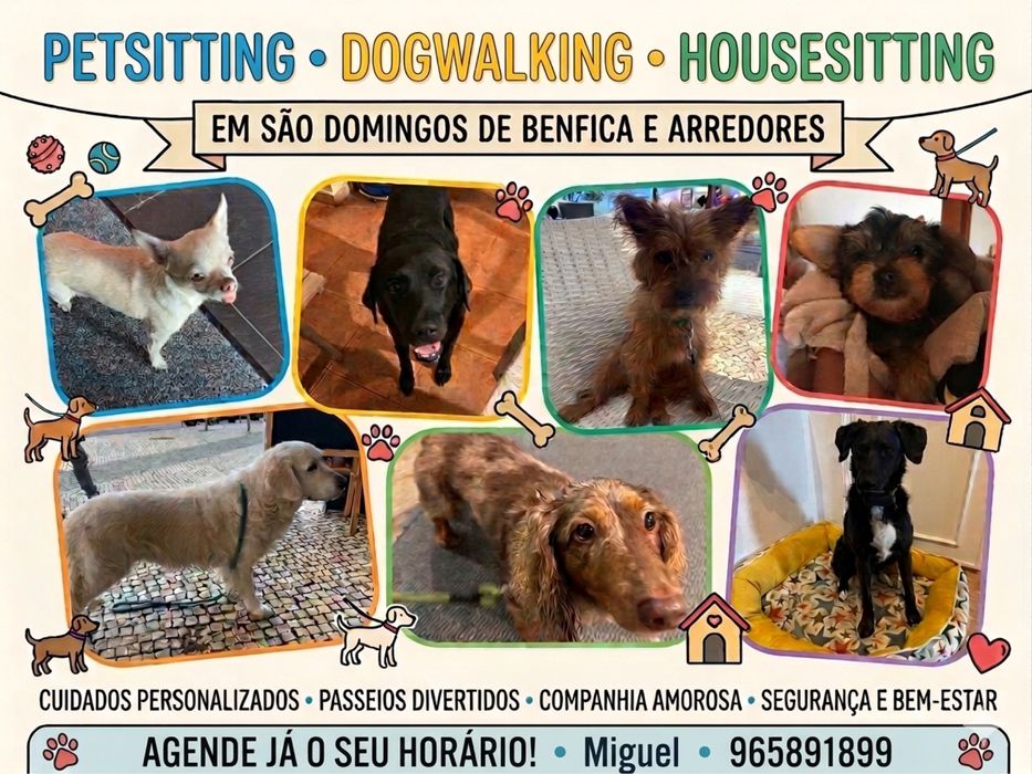 Petsitter em Lisboa470688227142543360