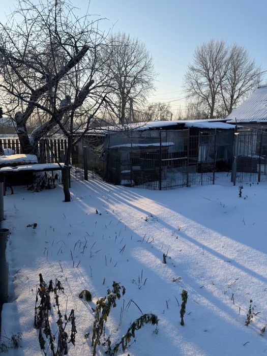 Будинок с Мирне Бориспільский район