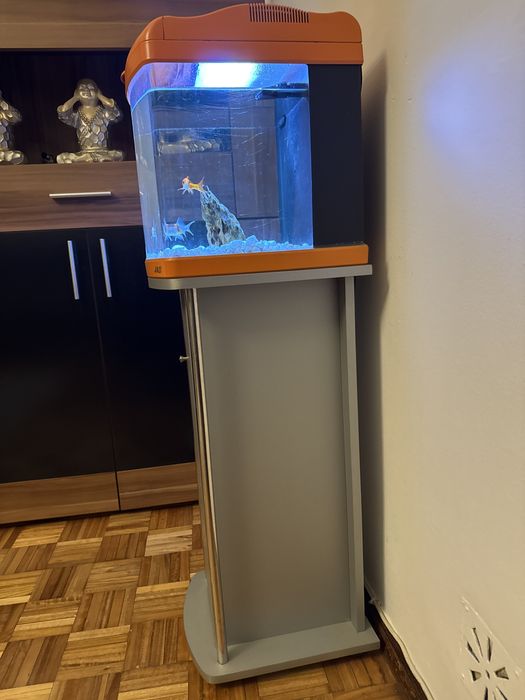 Aquario com movel de arrumaçao