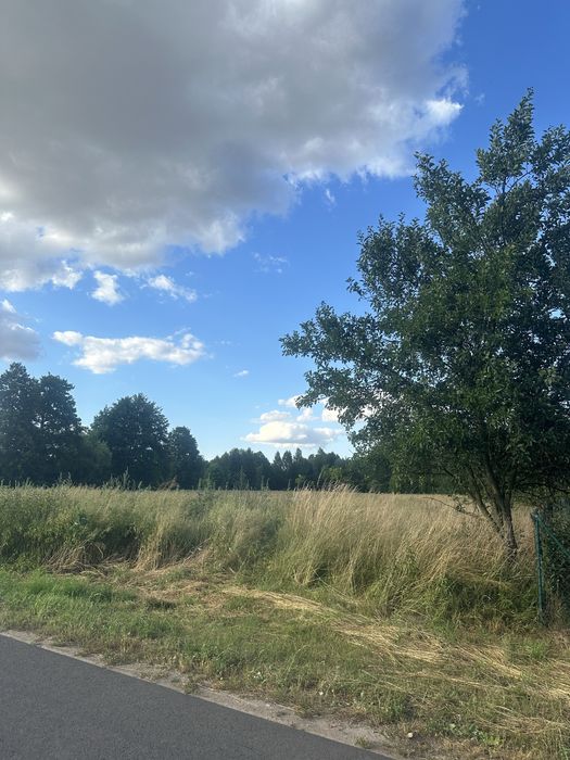 Dom wraz z działkami na sprzedaż