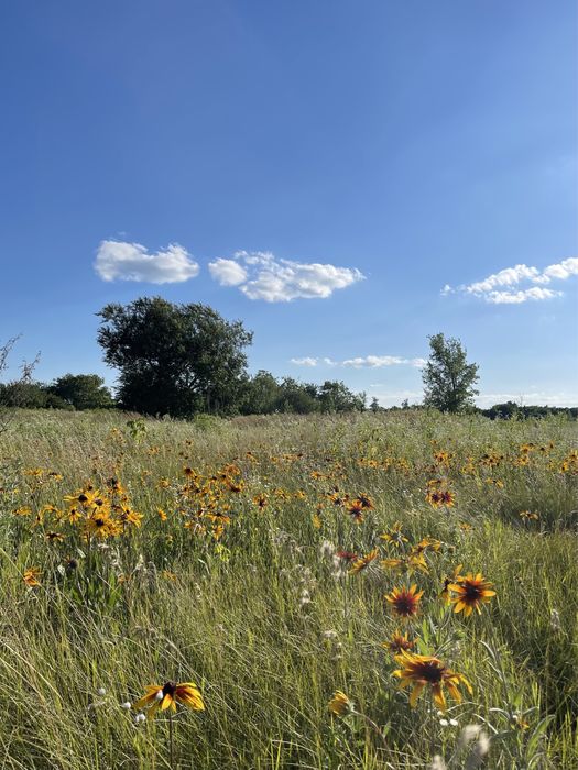 Земельна ділянка с. Заїзд