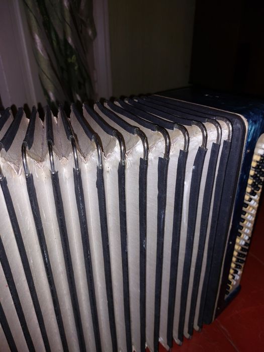 Баян       Полісся