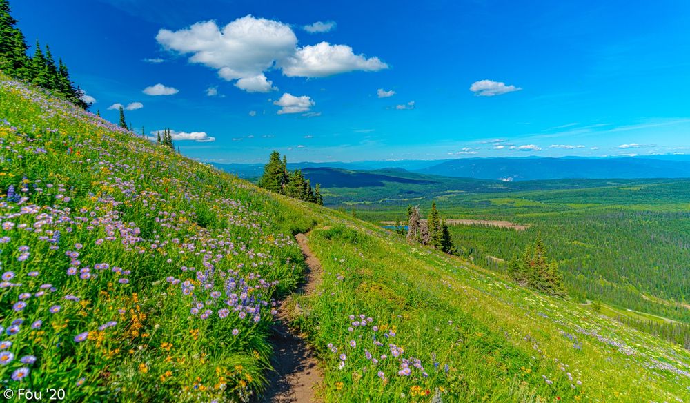 Шукаю житло , кімнату