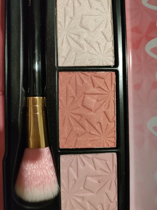 Paleta różów i rozświetlaczy