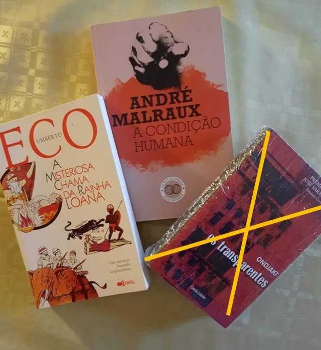 A Misteriosa Chama da Rainha Loana e a  Condição Humana