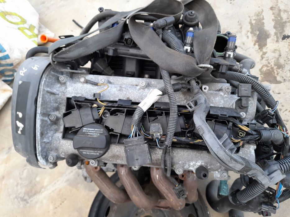 Motor completo SEAT Ibiza III (6L1)