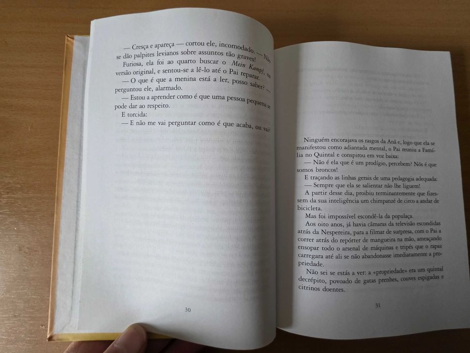 Livro "Os Filhos da Mãe" de Rita Ferro