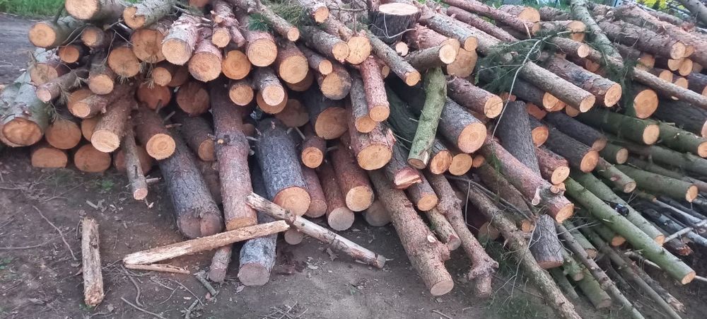 Drzewo opałowe świerk