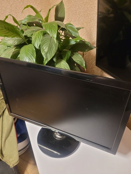 Монитор для компа ASUS
