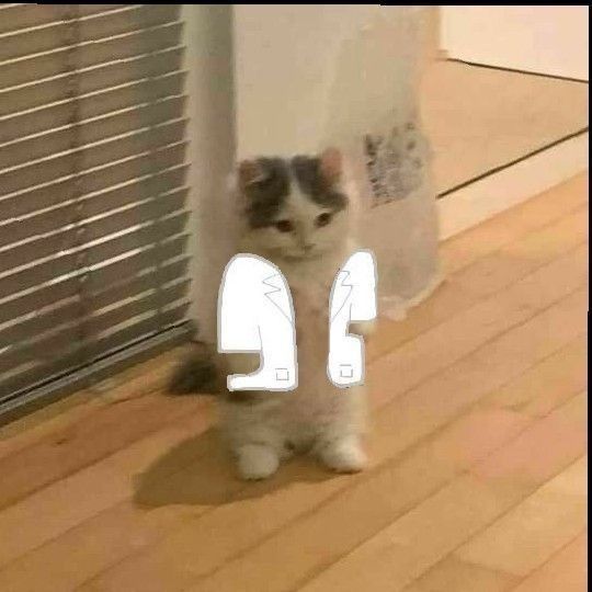 Korepetycje z biologii do matury i na zajęcia