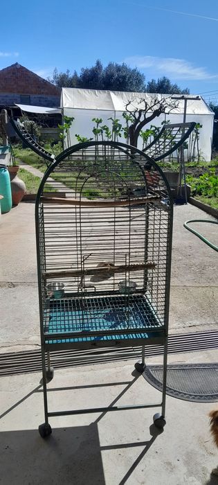 Gaiola grande papagaios