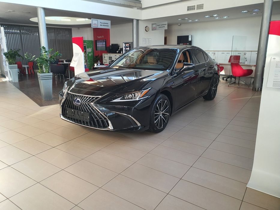 Wynajem busa wypożyczalnia samochodów bus wynajem