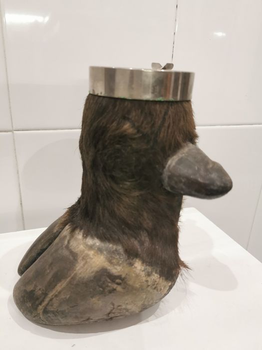 Cinzeiro pata de búfalo