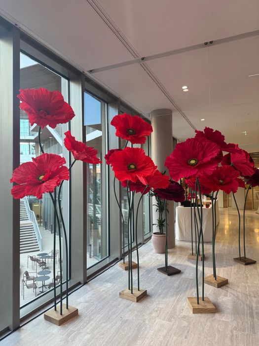 Квіти гіганти Метелики гіганти