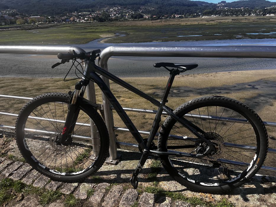 Bicicleta Deed Flame 29 - M