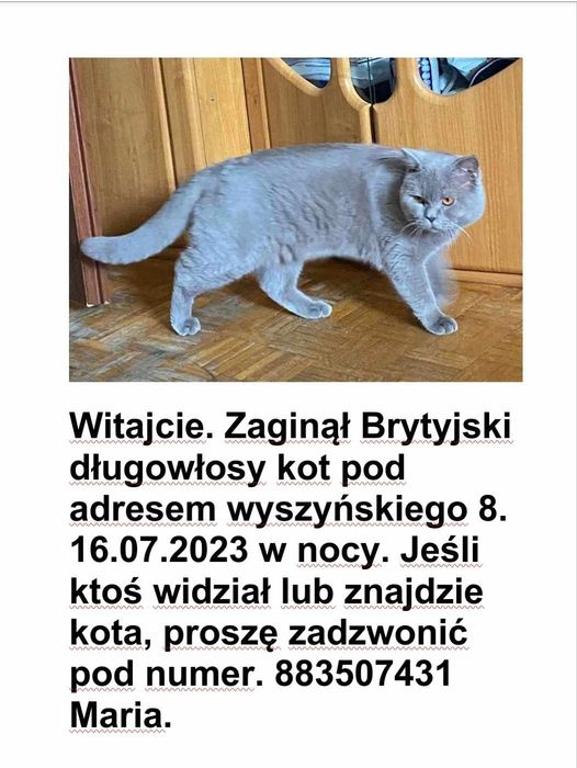 Witajcie.Zaginął