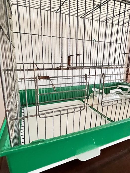 Viveiro para Reabilitação de Animais de Pequeno Porte ou Aves Vintage