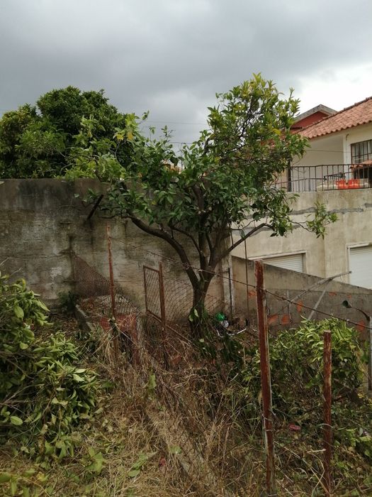 Limpeza de terrenos ou quintal