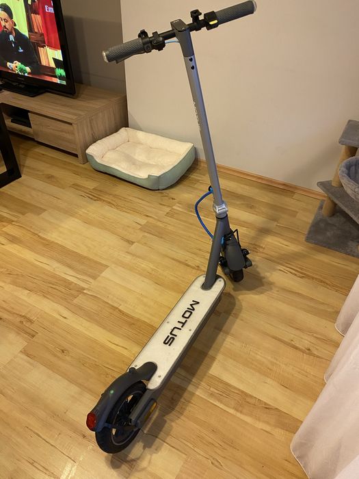 Hulajnoga elektryczna MOTUS Scooty NeoLite