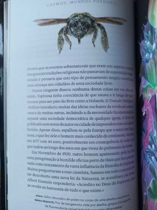 Cosmos; Mundos Possíveis - Ann Druyan