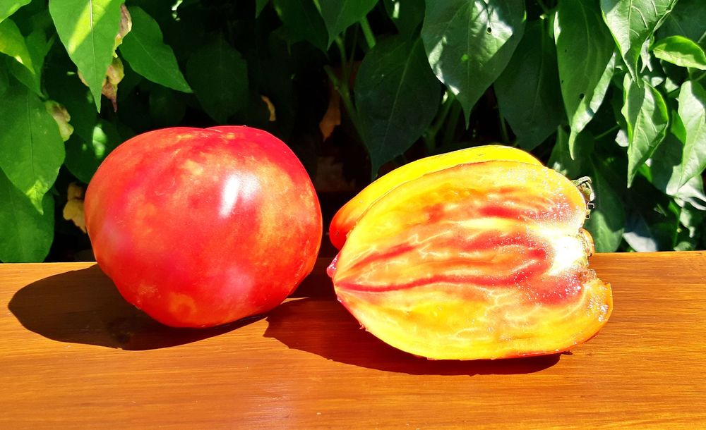 Pomidory nasionka ,kolekcjonerskie ,ekologiczne