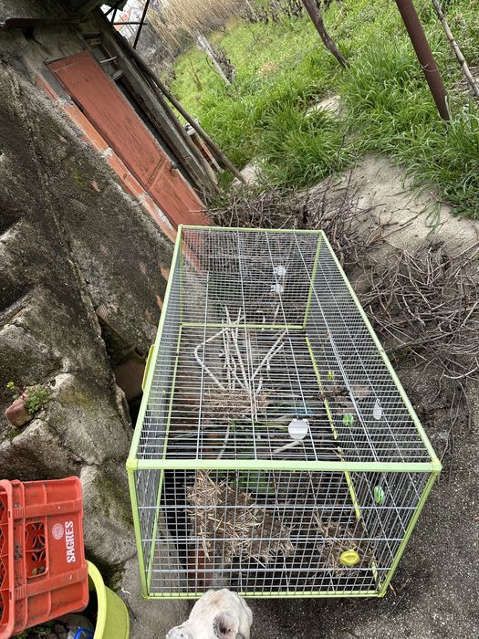 Rabbit Cage64730170905730122